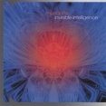 Mandorla - Invisible Intelligence
